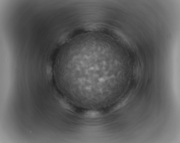 X0000115330749200911091245