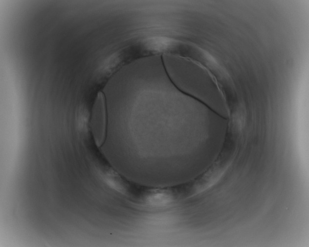 X0000115330750200911091245