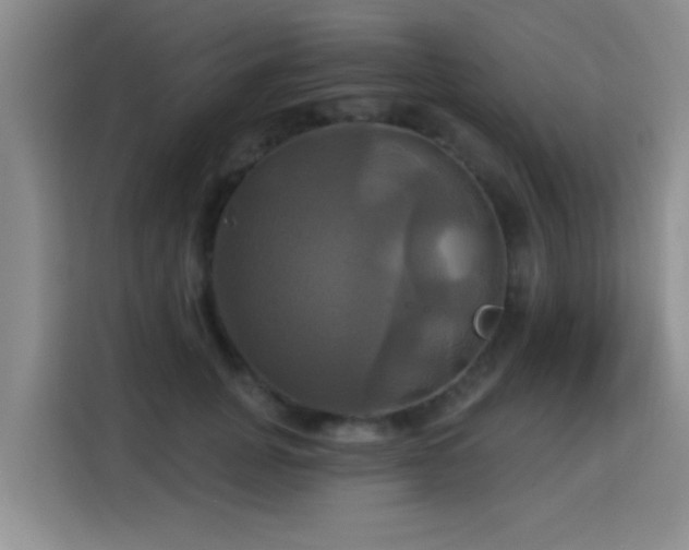 X0000115330751200911091245