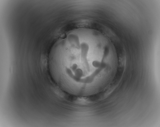 X0000115330753200911091245