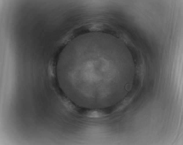 X0000115330755200911091245