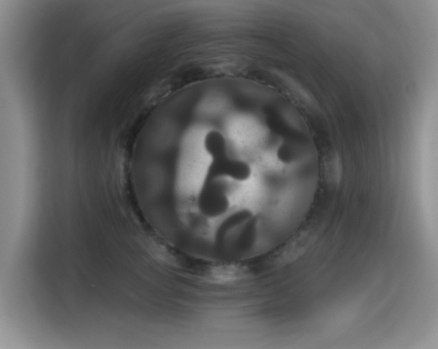 X0000115330757200911091245