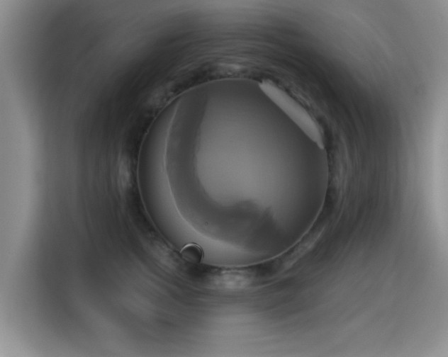 X0000115330758200911091245