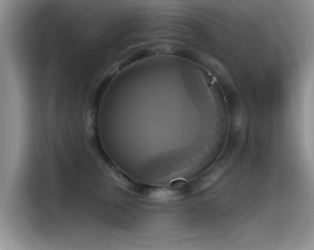 X0000115330759200911091245