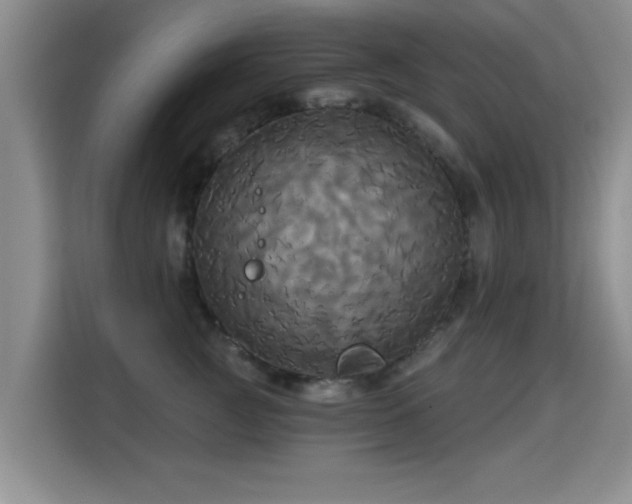 X0000115330761200911091245