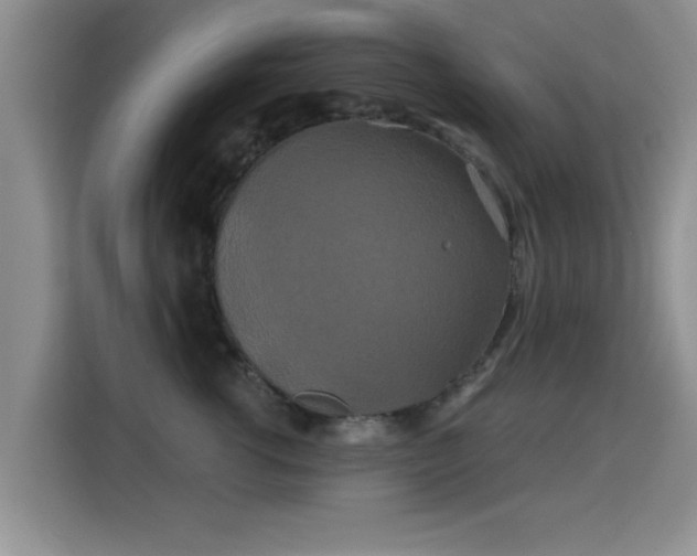 X0000115330762200911091245