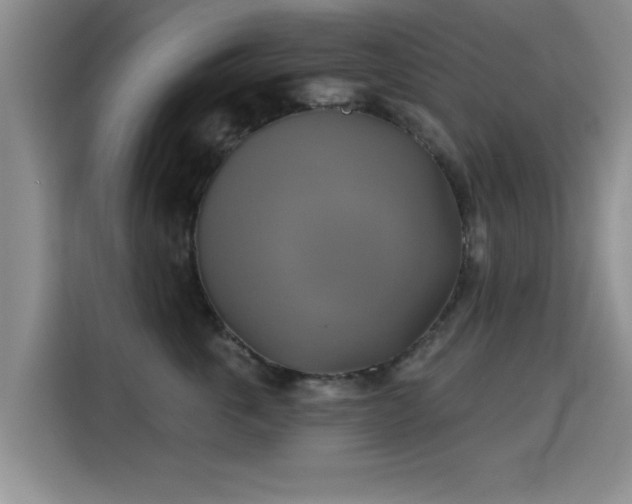 X0000115330763200911091245