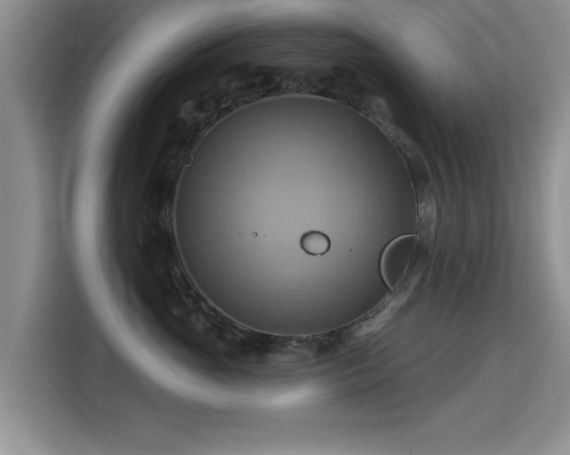 X0000115330765200911091245