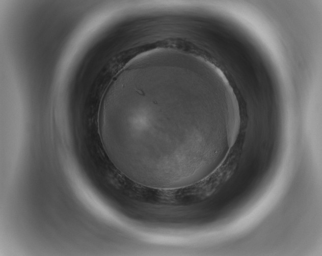 X0000115330766200911091245