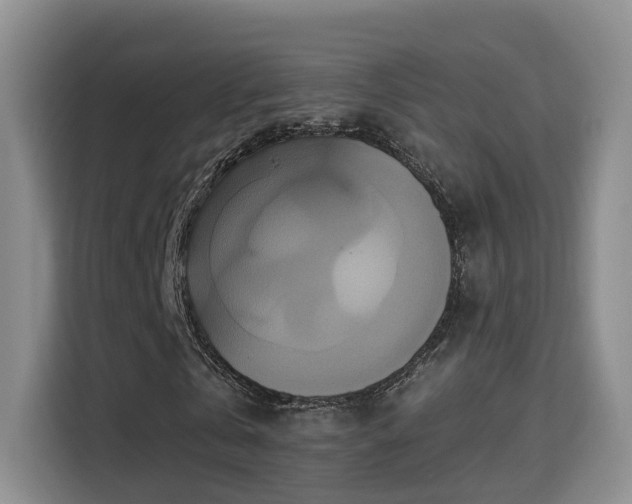 X0000115330769200911091244