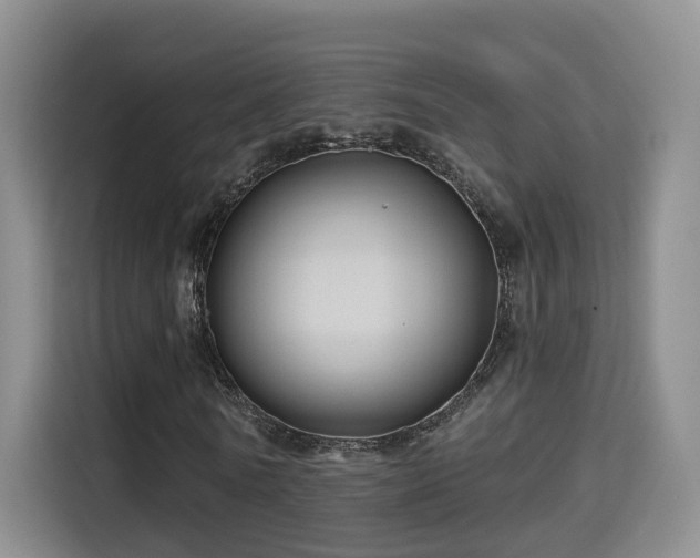 X0000115330770200911091244