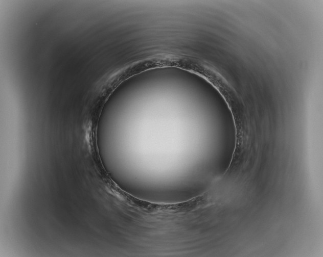 X0000115330773200911091244