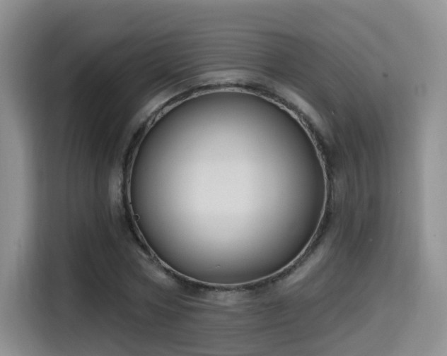 X0000115330778200911091244