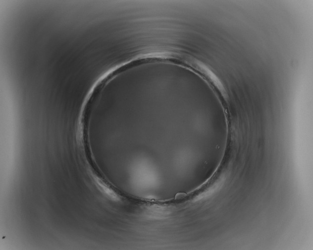X0000115330779200911091244