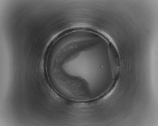 X0000115330783200911091244
