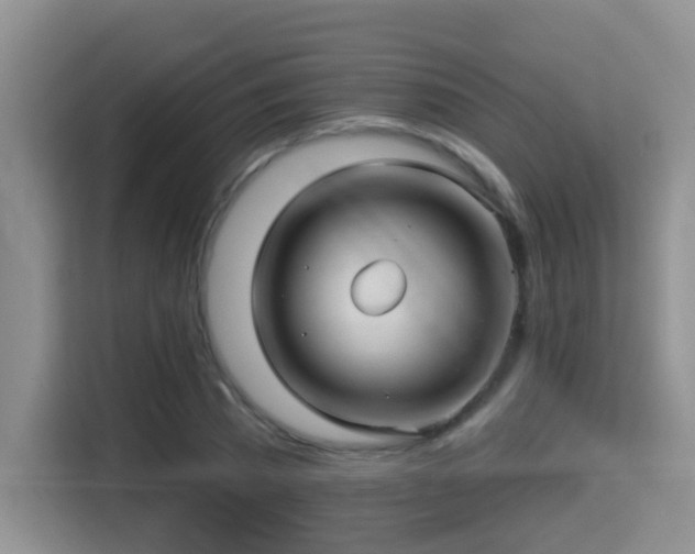 X0000115330785200911091244