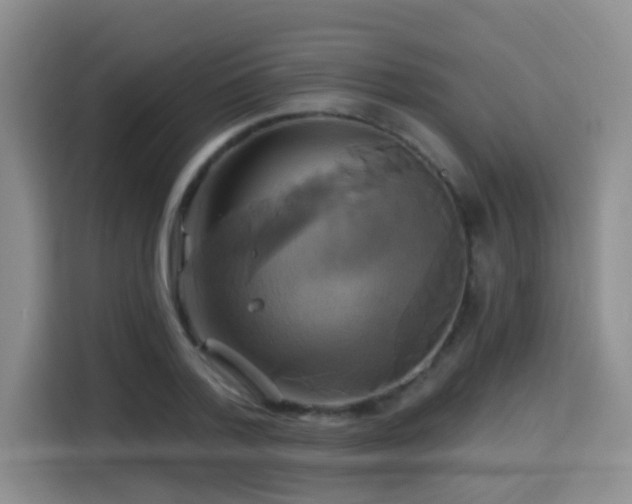 X0000115330788200911091244