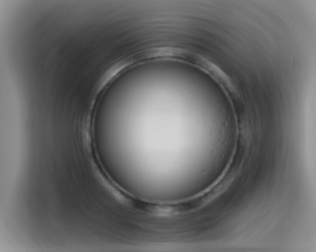 X0000115330794200911091244