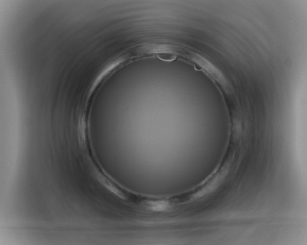 X0000115330798200911091244