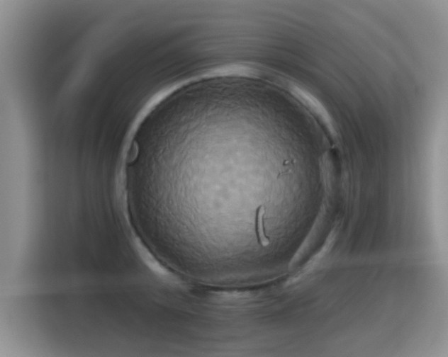 X0000115330800200911091244