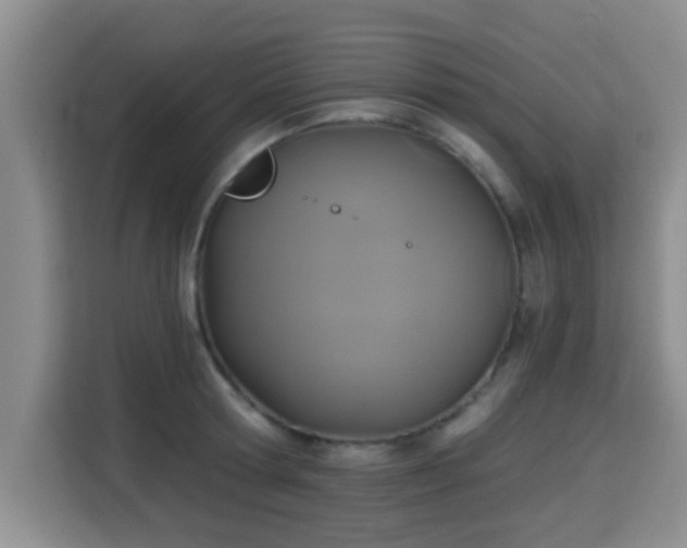 X0000115330802200911091244
