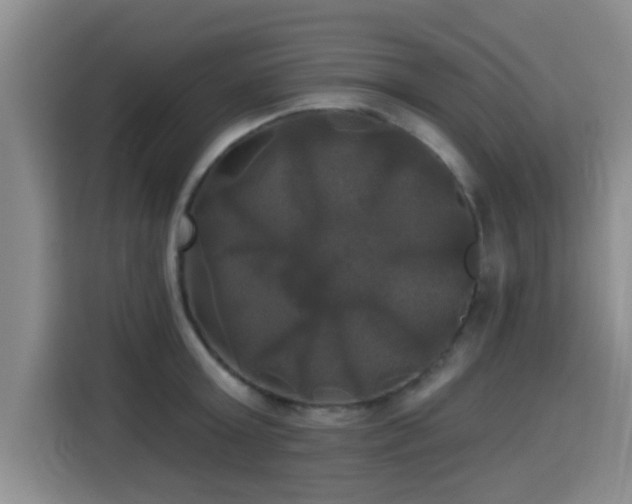 X0000115330803200911091244