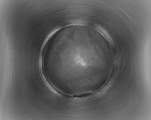 X0000115330804200911091244