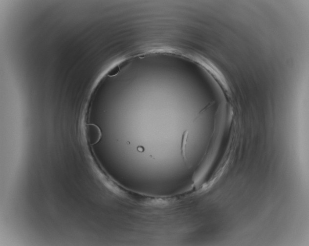 X0000115330806200911091244