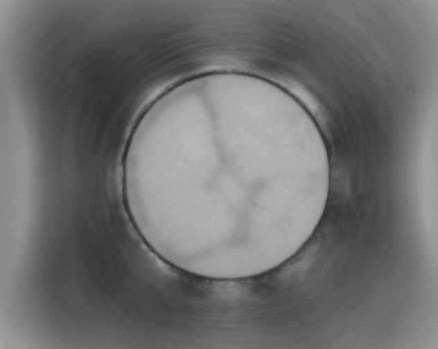 X0000115330807200911091244