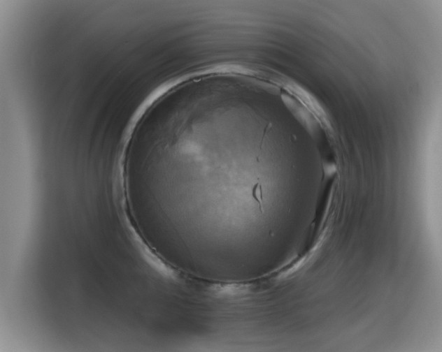 X0000115330808200911091244