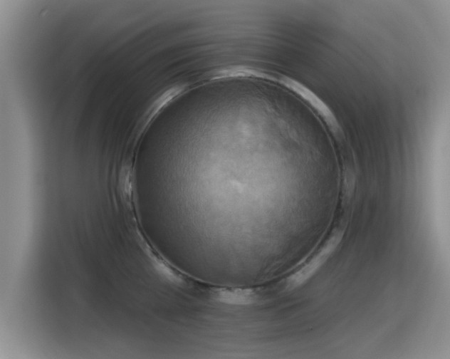 X0000115330809200911091244