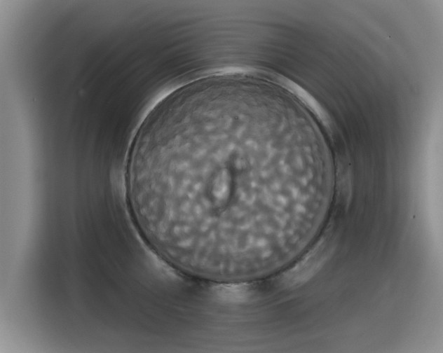 X0000115330810200911091244