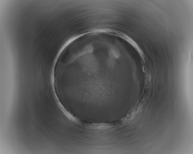 X0000115330811200911091244
