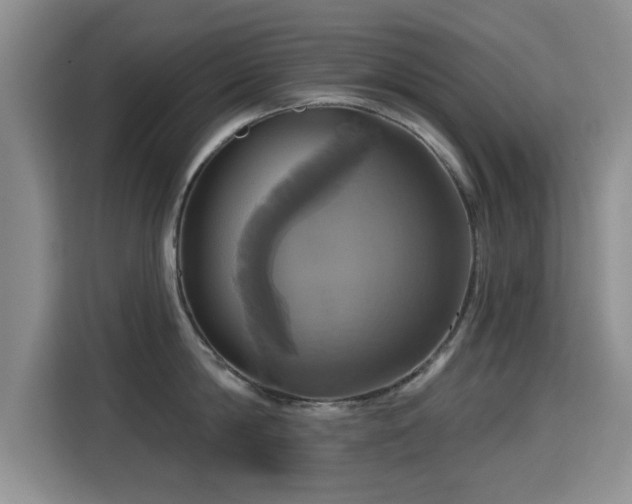 X0000115330814200911091244