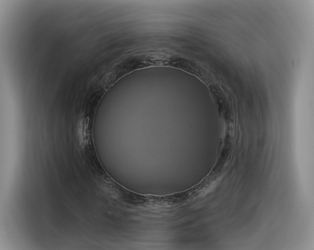 X0000115330818200911091243