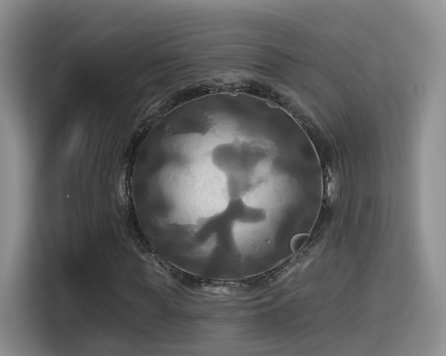 X0000115330819200911091243
