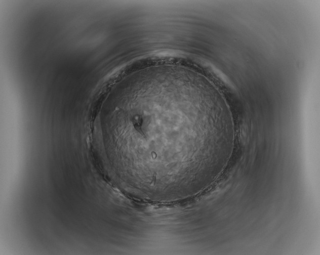 X0000115330821200911091243