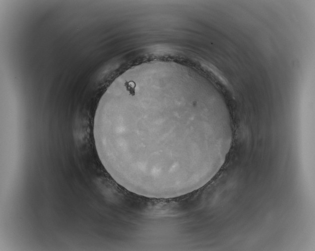 X0000115330824200911091243