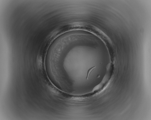 X0000115330825200911091243