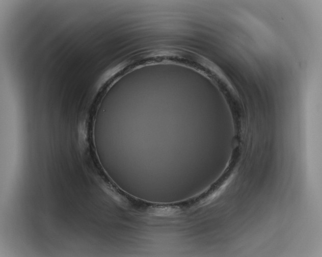 X0000115330826200911091243