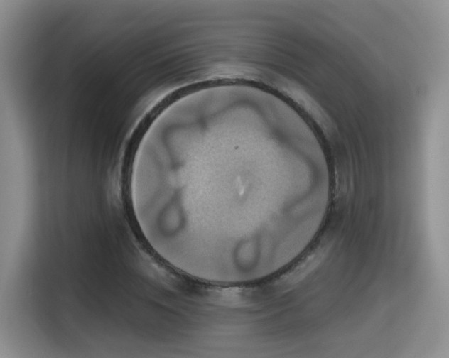 X0000115330828200911091243