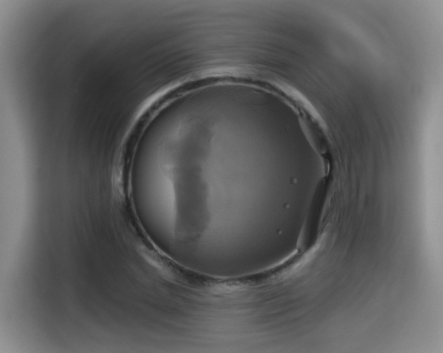 X0000115330830200911091243