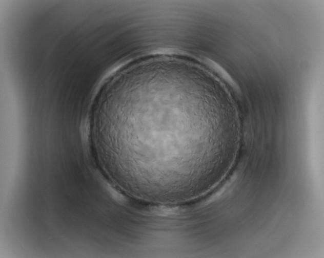X0000115330831200911091243
