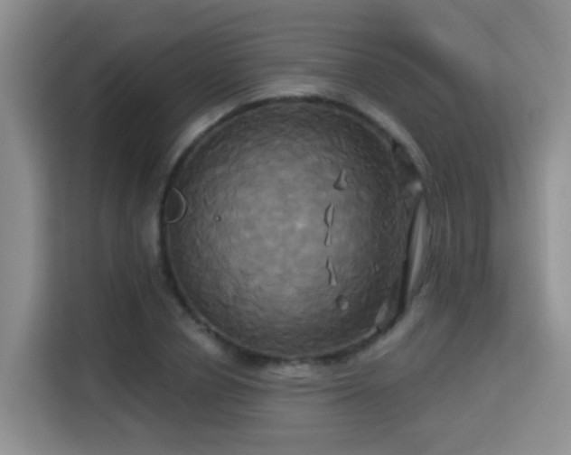 X0000115330834200911091243