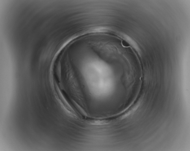 X0000115330835200911091243