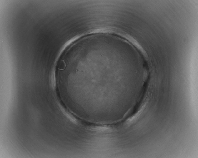 X0000115330838200911091243