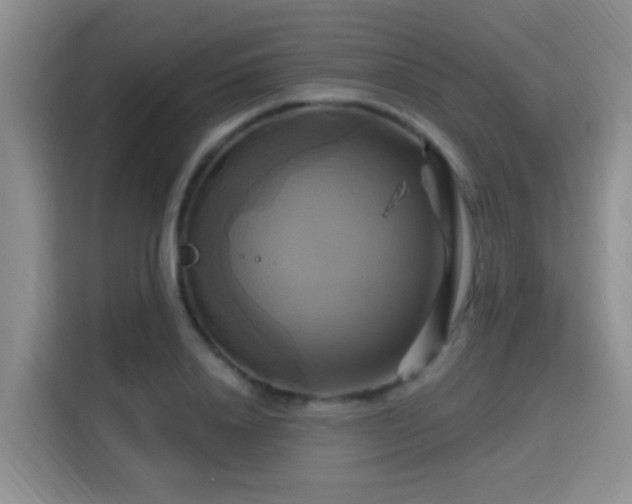 X0000115330840200911091243