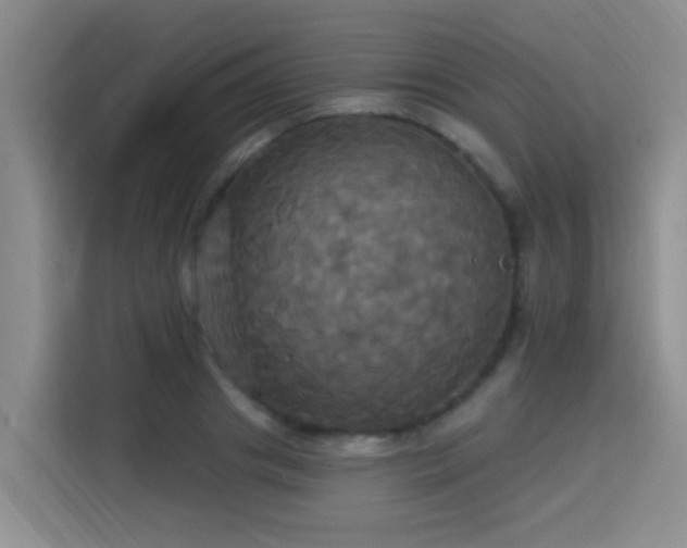 X0000115330841200911091243