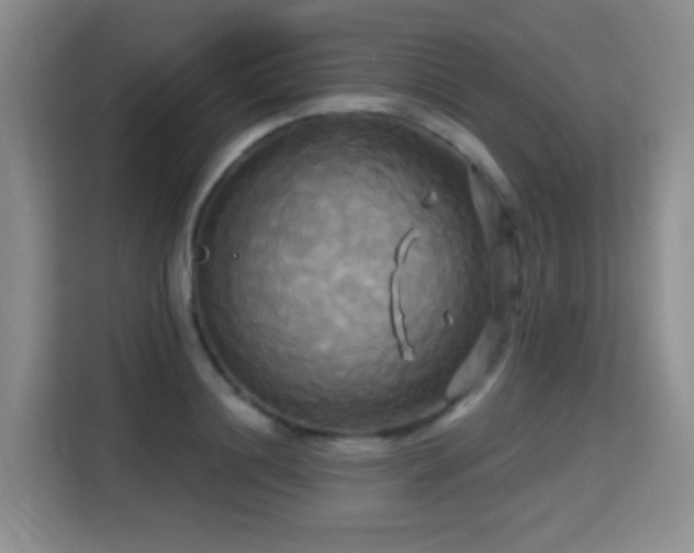 X0000115330844200911091243