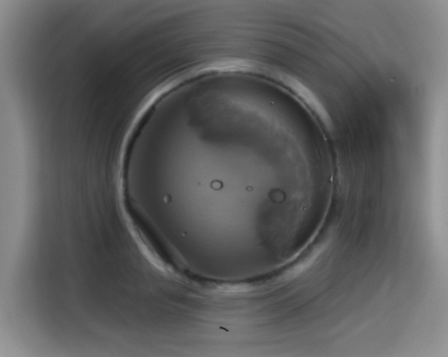 X0000115330845200911091243